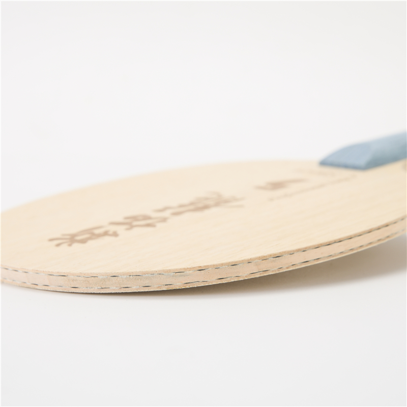 Raket tenis meja Stuor Dragon  - Table Tennis Zhang Jike ulasan dan harga